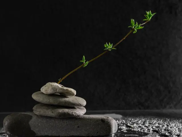 광주 광산구 다인마사지 마사지 업소 이미지