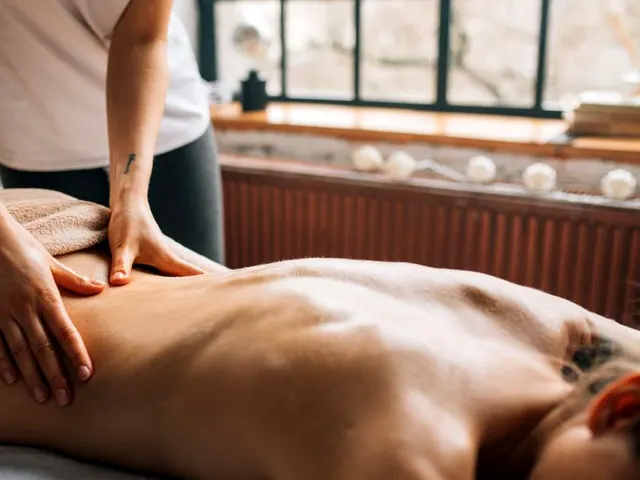 경기 성남시 분당구 마사지 분위기 참고 이미지