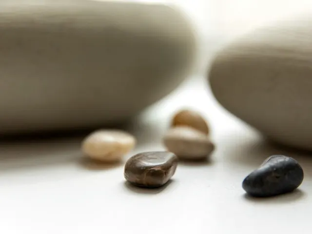 서울 동작구 상도동 마사지 포시즌체형관리 마사지 업소 이미지