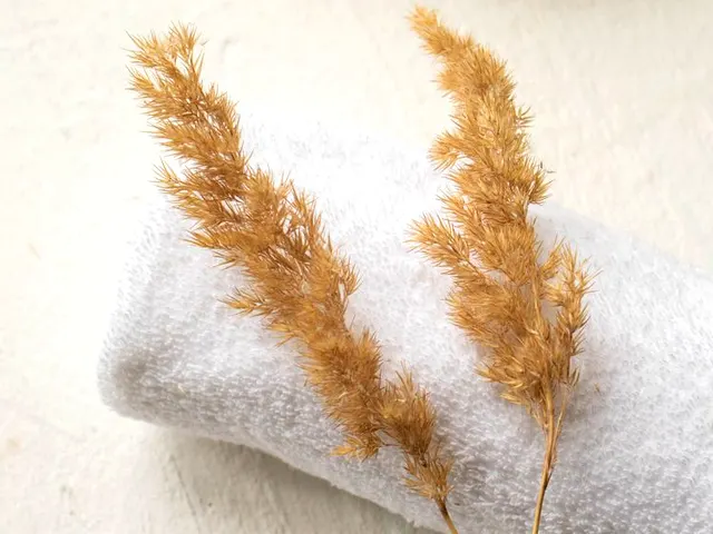 서울 마포구 마사지 분위기 참고 이미지
